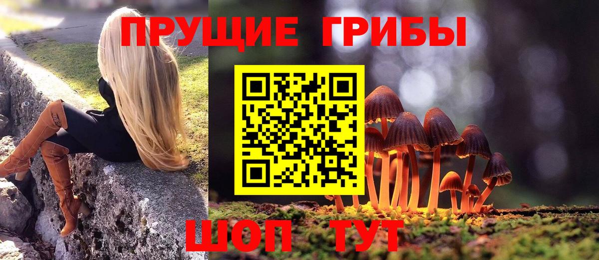 Галлюциногенные грибы ЛСД Кузнецк