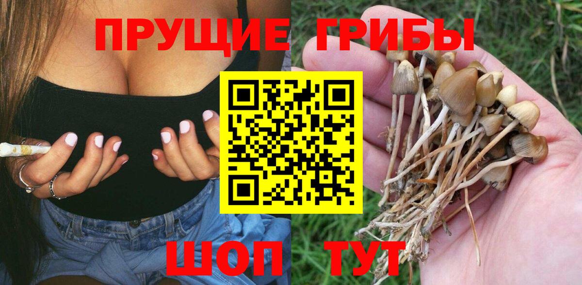 Кузнецк  Псилоцибиновые грибы GOLDEN TEACHER  Галлюциногенные грибы мухоморы  Вход с VPN 